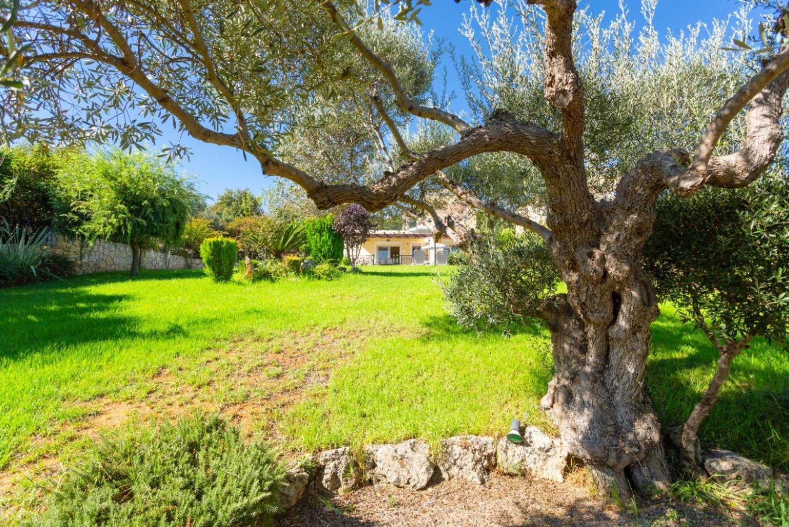 Villa Mary Gerani Chanion Extérieur photo
